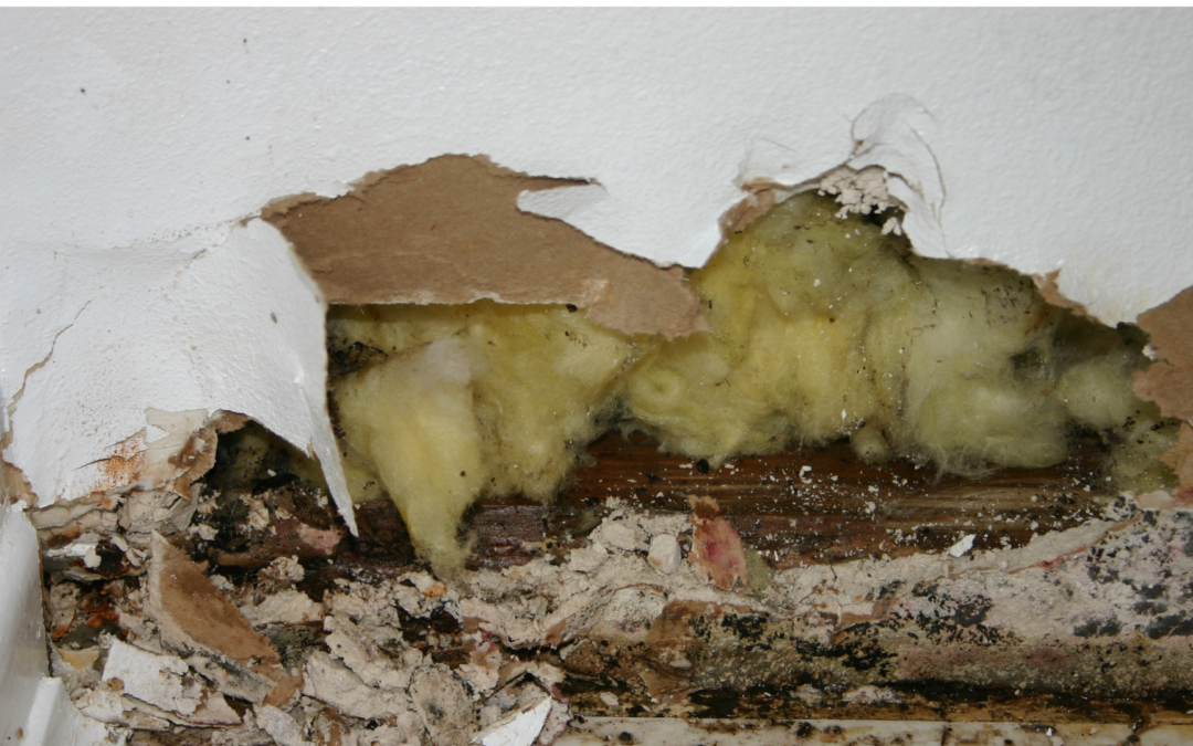 When to Consider Home Insulation Replacement: Five Warning Signs