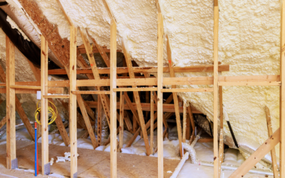 Foam Insulation